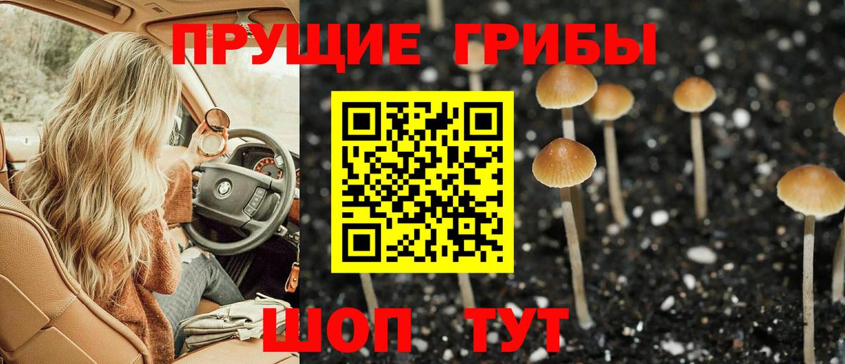 Белебей  Псилоцибиновые грибы прущие грибы  Псилоцибиновые грибы прущие грибы  Вход с VPN 