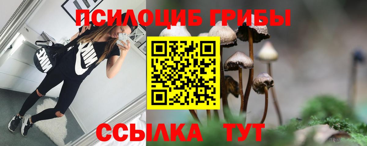 Псилоцибиновые грибы мицелий Белебей
